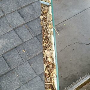 13 Maintenance Tips to Protect Your ROOF