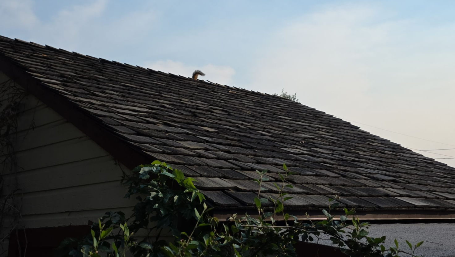 24 Hour Emergency Roof Repair Near Me Pete’s Builders